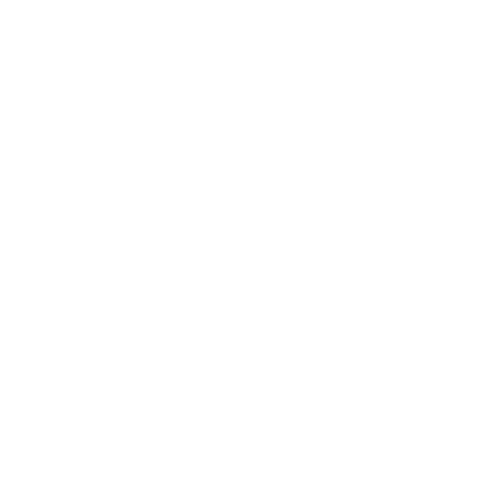 White videocall icon